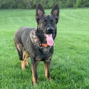 Meet your Posher, Kayla